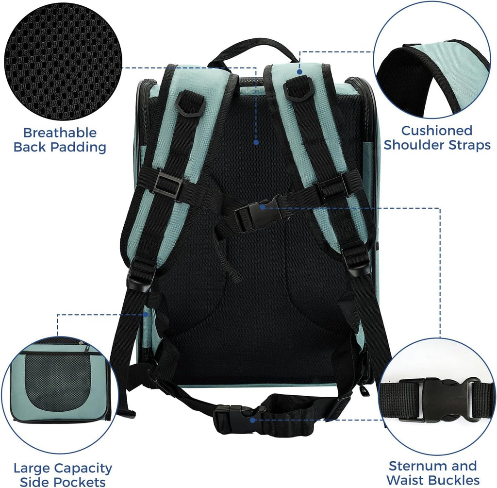 Apollo Walker Cat Backpack Carrier, Support Frame, 16 lb Weight Capacity