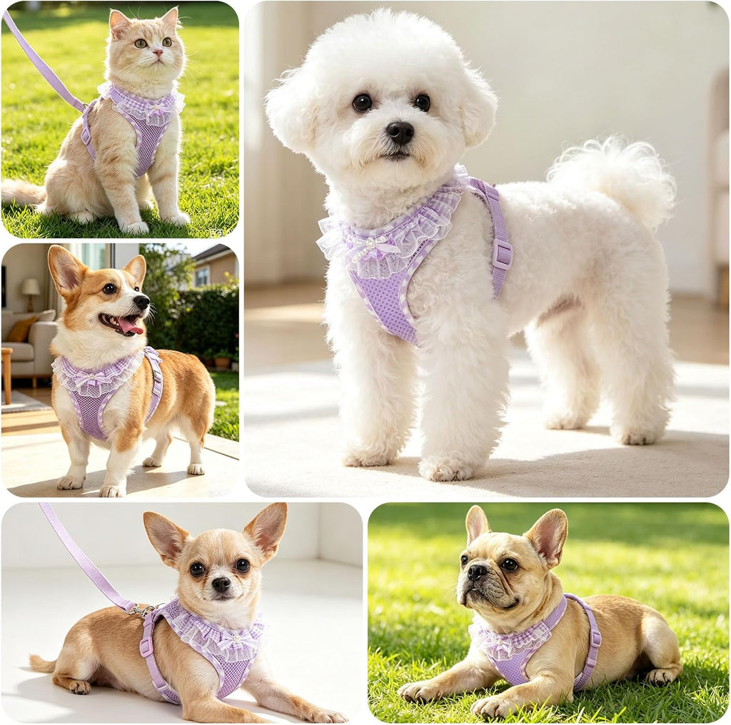 ABRRLO Cute Puppy Harness and Leash Set for Small Dogs Cats Girls,Purple S