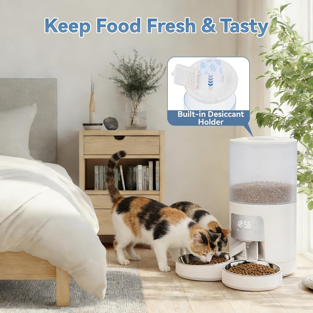 DUMOS 6L Automatic Cat Feeder for 2 Cats, Timed Pet Food Dispenser, White