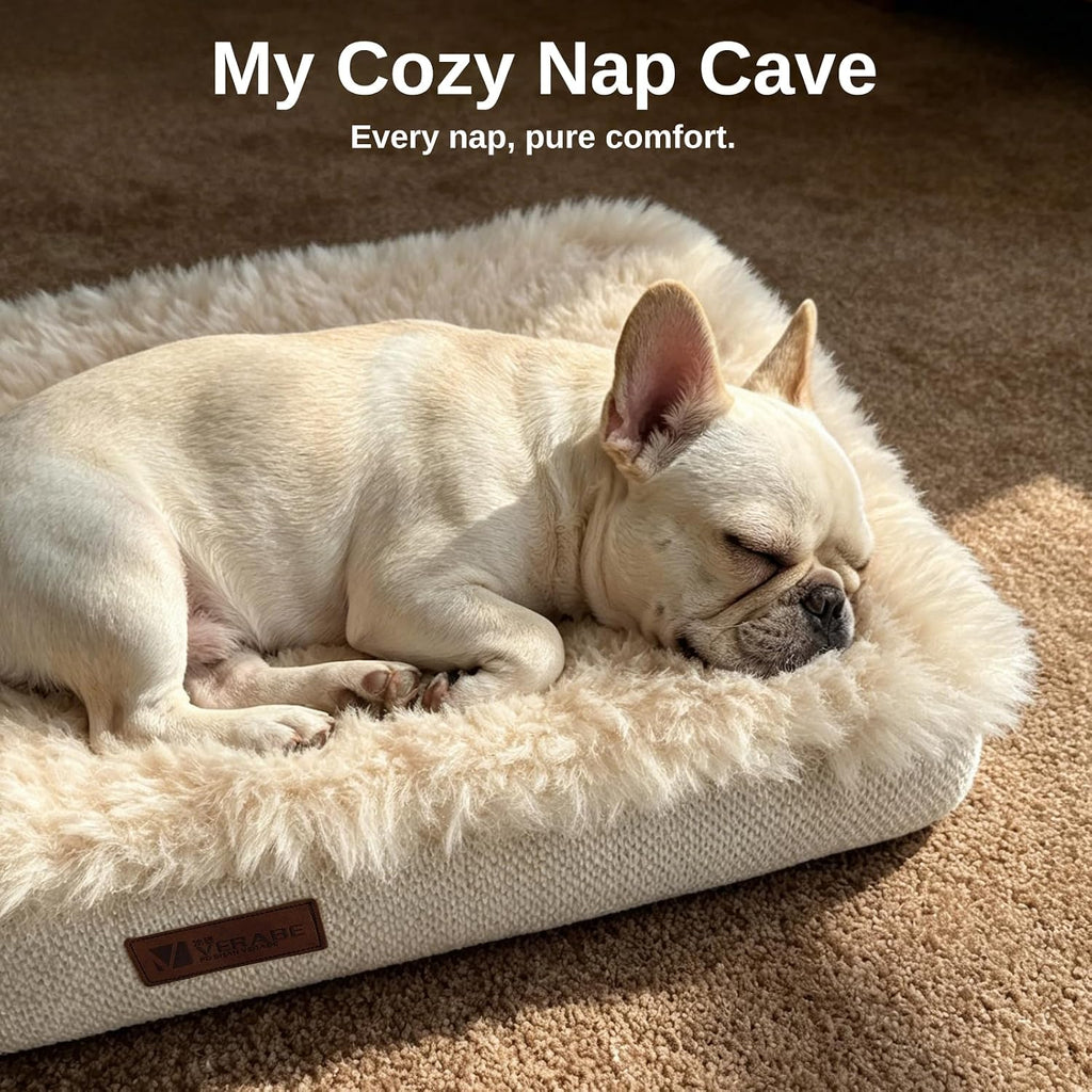 Orthopedic Dog Bed for Small Dogs, Egg Crate Foam, Non-Slip Bottom,Beige