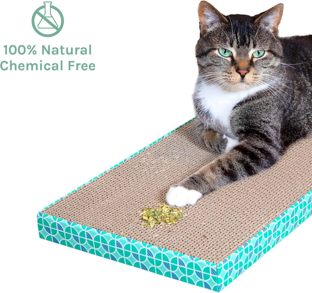 Kitty City Cat Premium Natural Catnip Collection, Catnip Bag 3-Pack