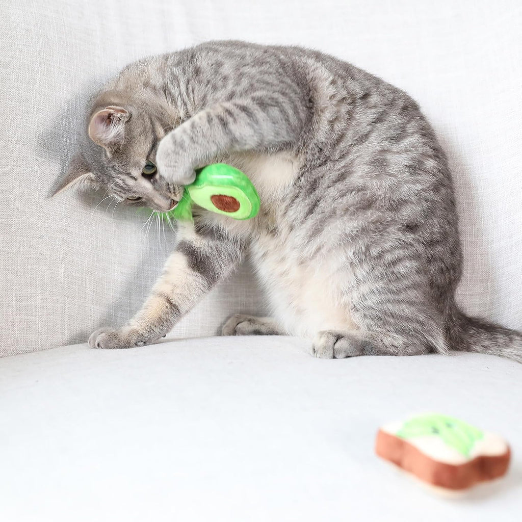 Quirky Kitty Avocado Toast Catnip Plush Cat Toy, Pack of 2, Soft and Safe