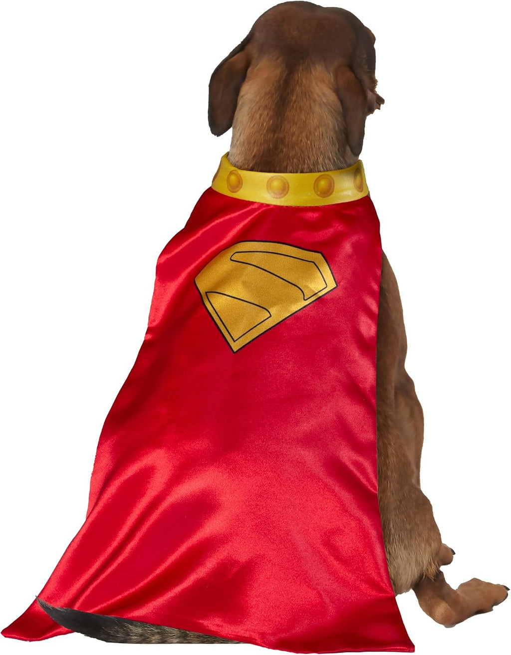Rubies DC Superman Movie (2025): Krypto Pet Cape & Collar for Dogs or Cats, Extra Large