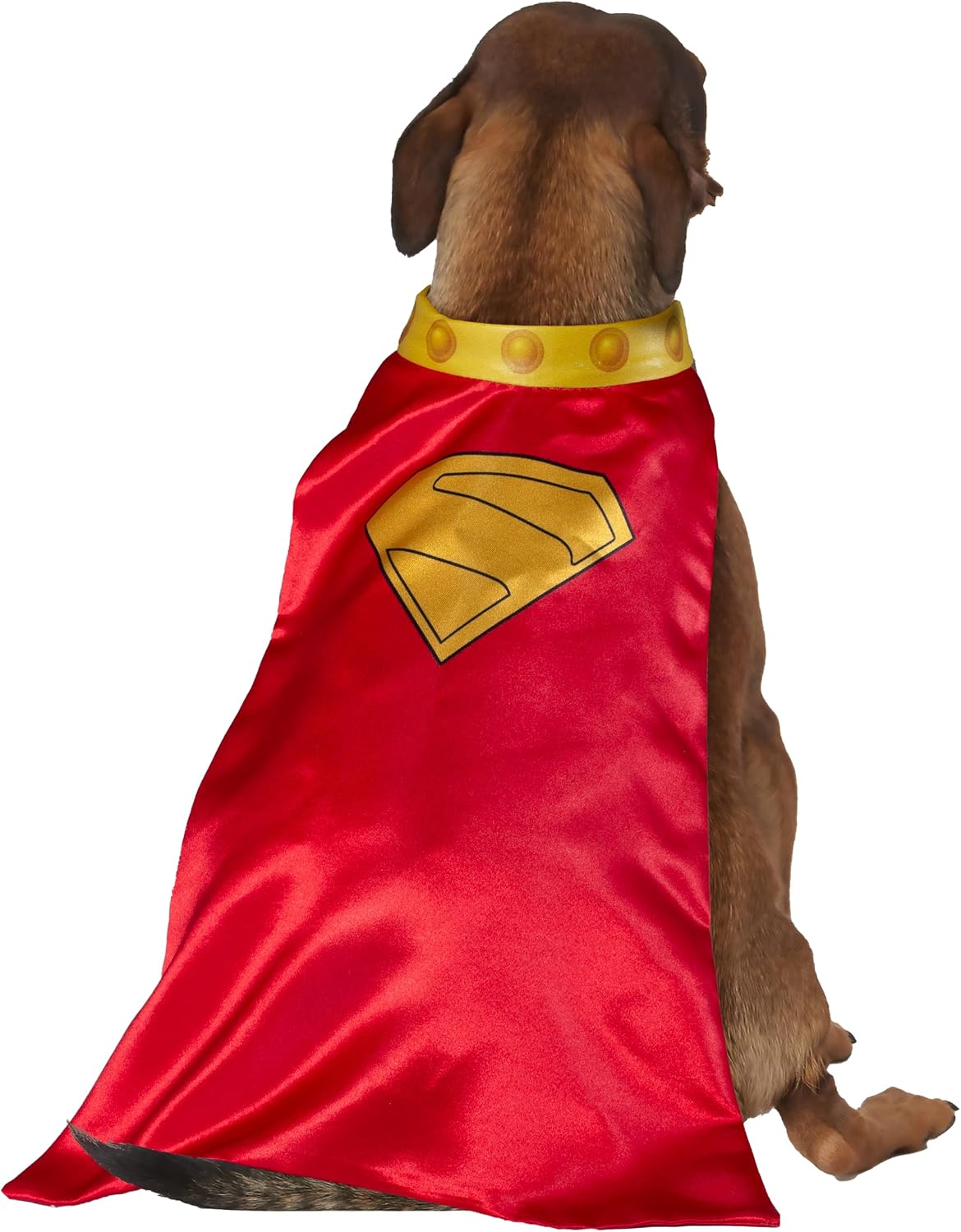 Rubies DC Superman Movie (2025): Krypto Pet Cape & Collar for Dogs or Cats, Medium