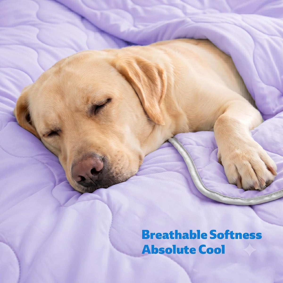 Cooling Blanket for Dogs. Dog Cooling Blankets for Large Dogs, Breathable Cooling Fabric, Cold Washable, Cooling Dog Blanket Durable Scratch-Resistant Soft Fabric for All Seasons, Purple