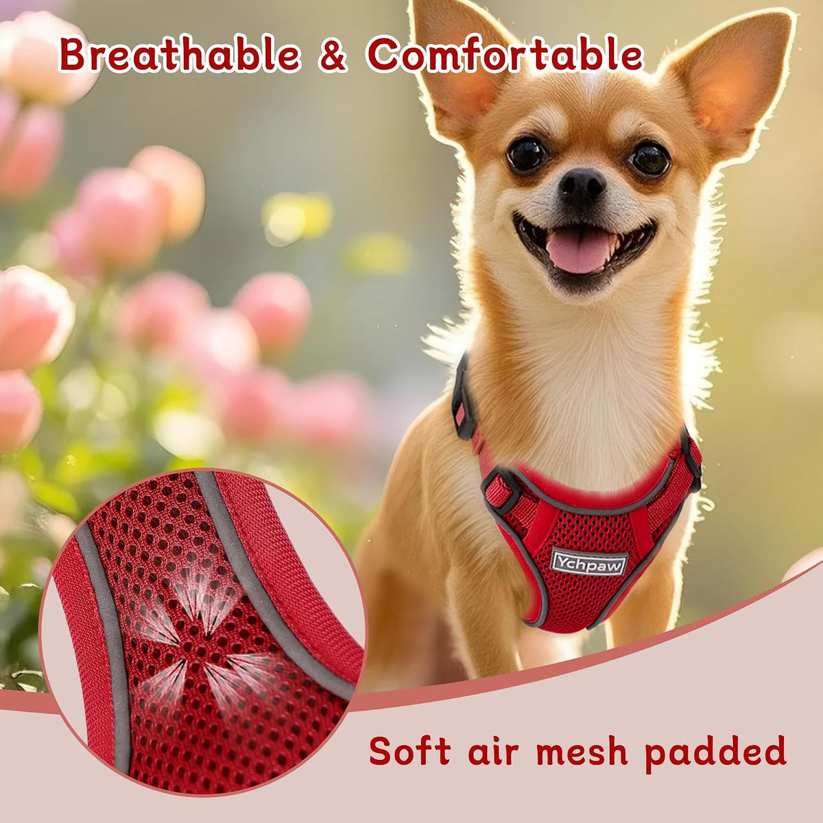 Small Dog Harness and Leash Set, Adjustable Small Sized Pet Vest