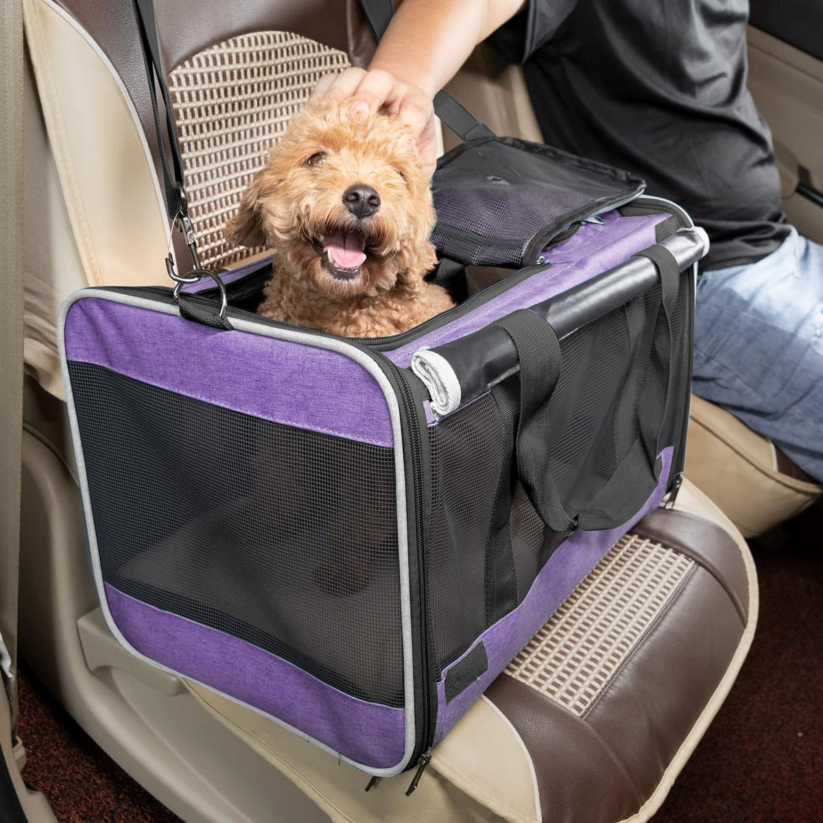 GAPZER Carrying Bag Yorkie Dog Travel Kennel Ventilated Soft Pet Carrier