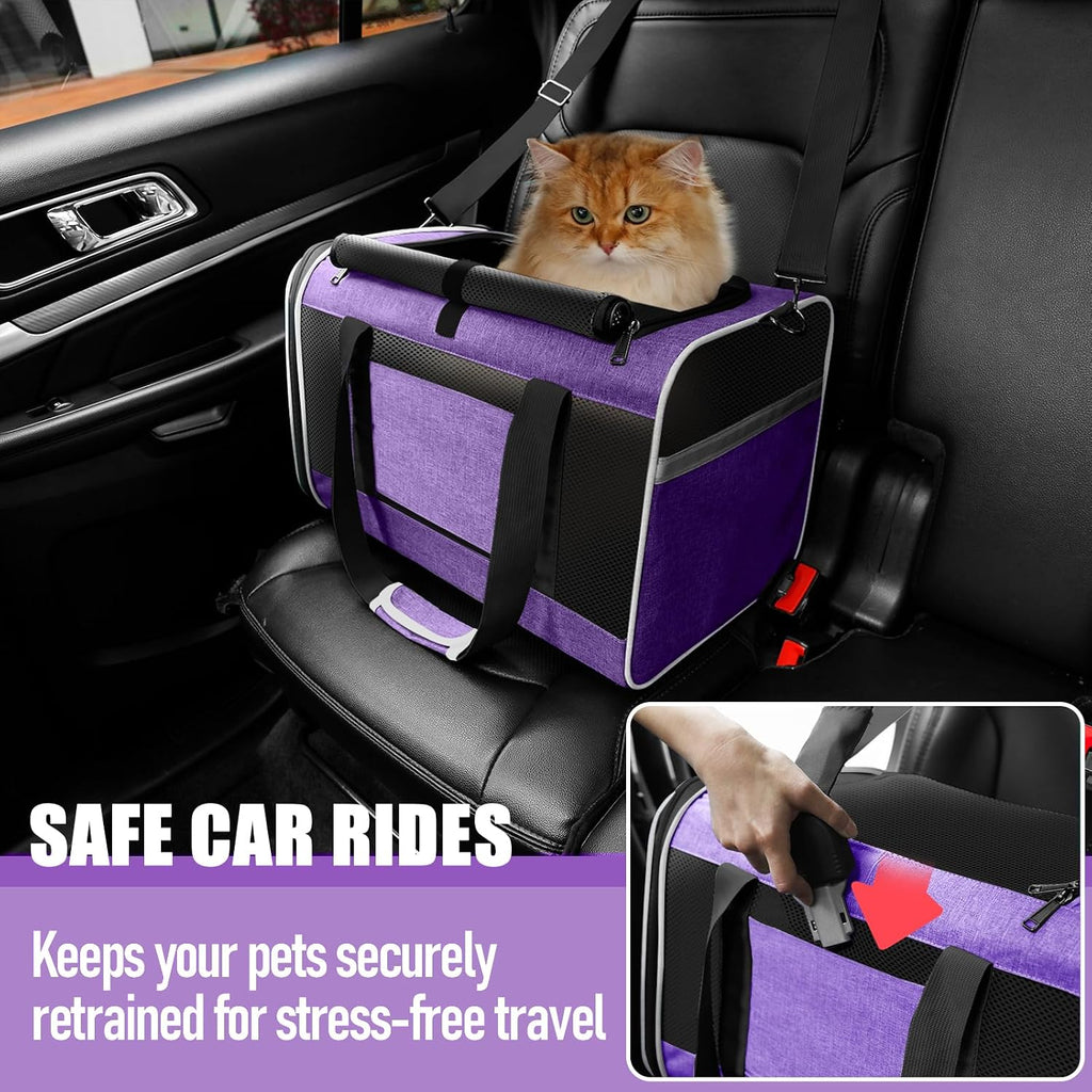 GAPZER Large Cat Carrier Soft, Collapsible Travel Pet Carry Bag, Small Dogs