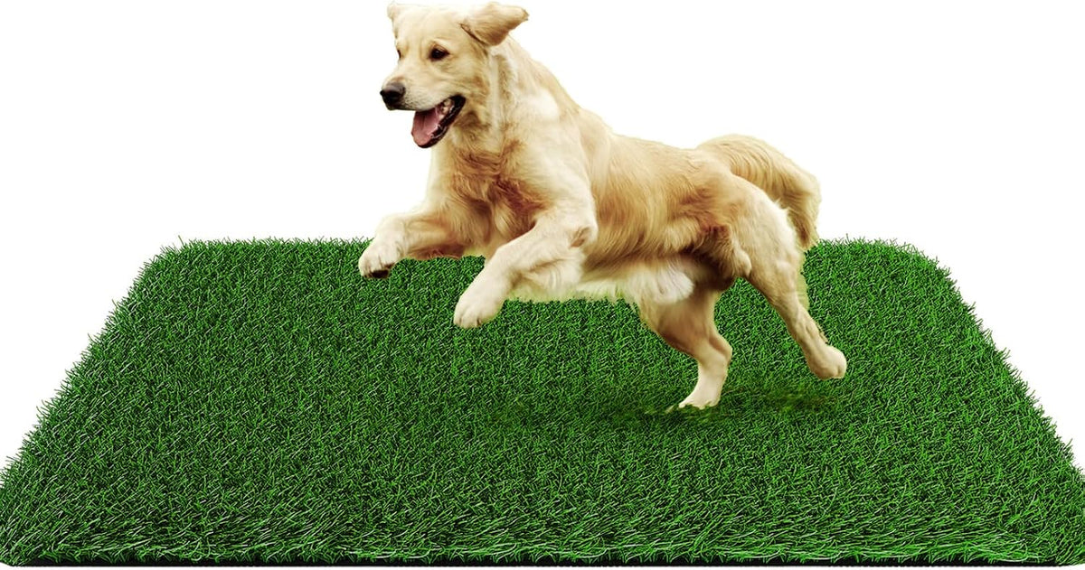 Grass Pad for Dogs 28 x 40 inches, Fast-Drain Soft Artificial Turt for Pets Potty Training, Easy to Clean Fake Grass for Dog Indoor Outdoor Use (1 Pack)