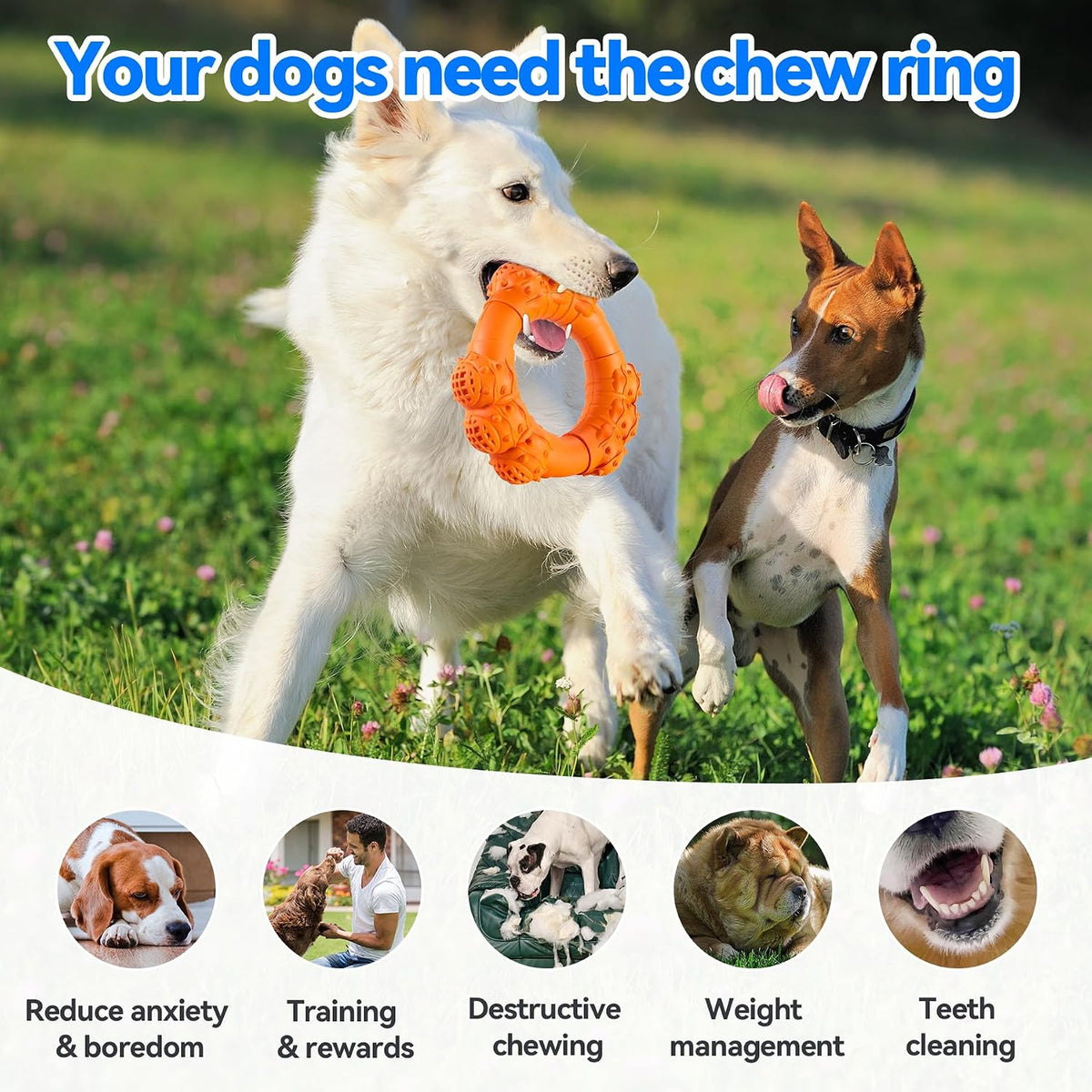 Indestructible Dog Chew Ring Toys for Aggressive Chewers, Super Chewer Toy for Medium Large Dogs, Puppy Teething Rings, Interactive Ring for Boredom,Heavy Duty Dog Teething Toys