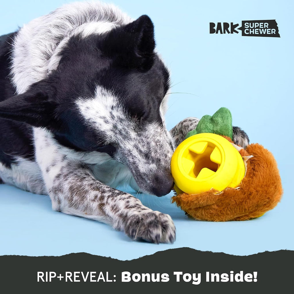 BarkBox Fowl Play Treat Dispensing Hard Core Plush Toy for Aggressive Chewers - Large