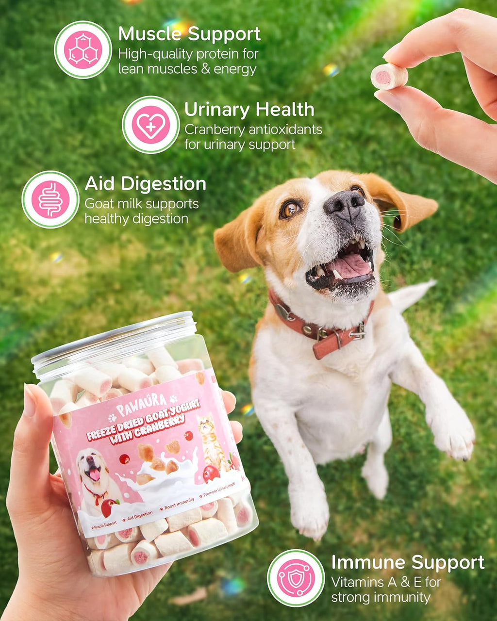 Freeze Dried Goat Milk Dog Cat Treats Sensitive Stomach Grain Free