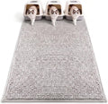 Pieviev Soft Chenille Cat Litter Box Mat, Ultra Absorbent, 48'' x 36'' | Long Plush Chenille Traps Cat Deeply, Waterproof Tpr Anti-Slip Backing, Absorbs Moisture, Machine Washable Cat Mat