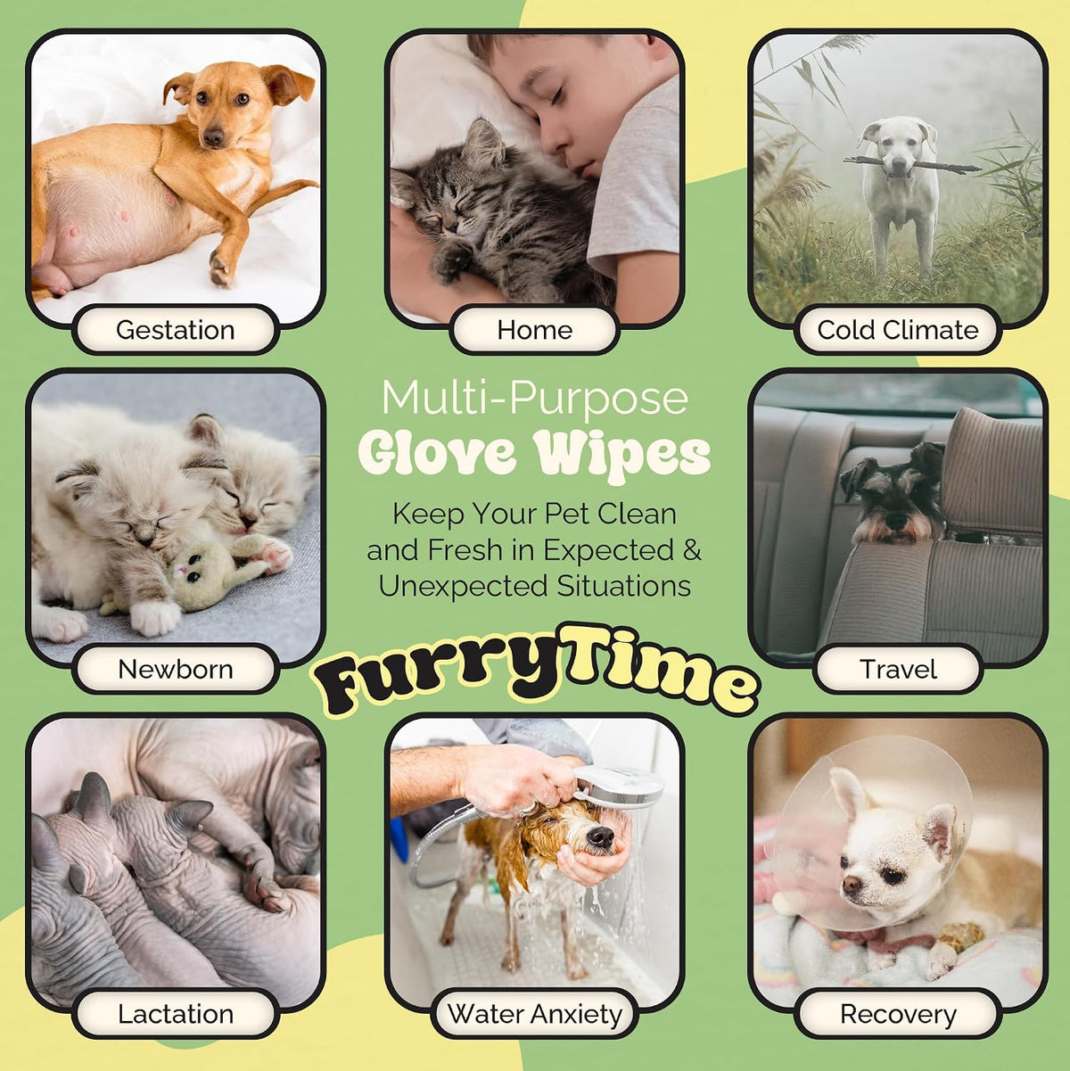 FURRYTIME Pet Cleaning Glove Wipes for Dogs & Cats, 30 Gloves, Hypoallergenic Pet Wipes Disposable No-Rinse Grooming, Extra Thick Bathing Wipes, Pet Dry Cleaning Paws, Coat, Ears, Eye Area, Butt | Hypoallergenic, Lick-Safe, Full-Body Grooming & Deodori...