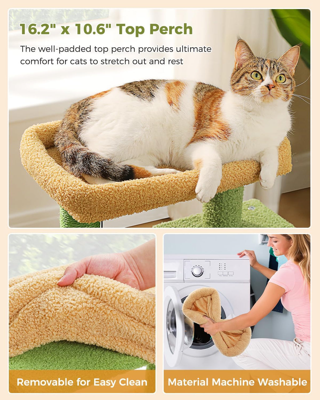 Small Cat Tree for Kittens, 32 in Cat Tower with 2 Cozy Condos