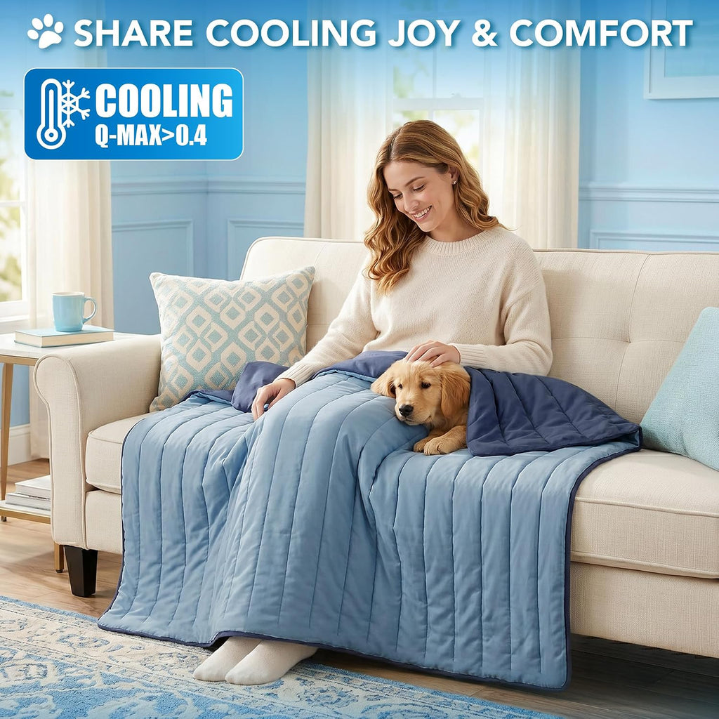 PetAmi Dog Cooling Mat Blanket Pet Pad for Small Medium Cat, Small, 24x32