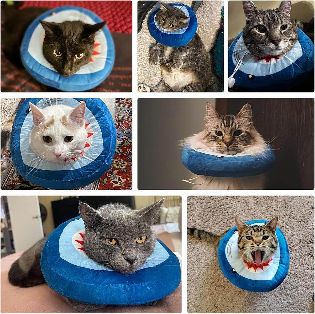 EXPAWLORER Cat Cone Collar Soft, Cat Recovery E Collar After Surgery to Stop Licking, Adjustable Waterproof Neck Elizabethan Pet Kitten Puppy Donut Pillow for Cats Wound Healing, Blue Shark