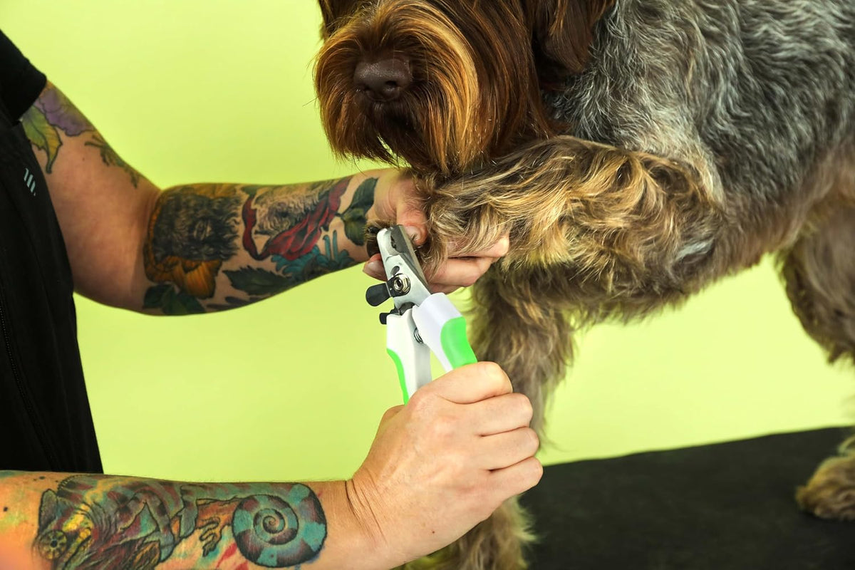 Andis 68575 Animal Nail Cutter for Small Breeds, White/Green