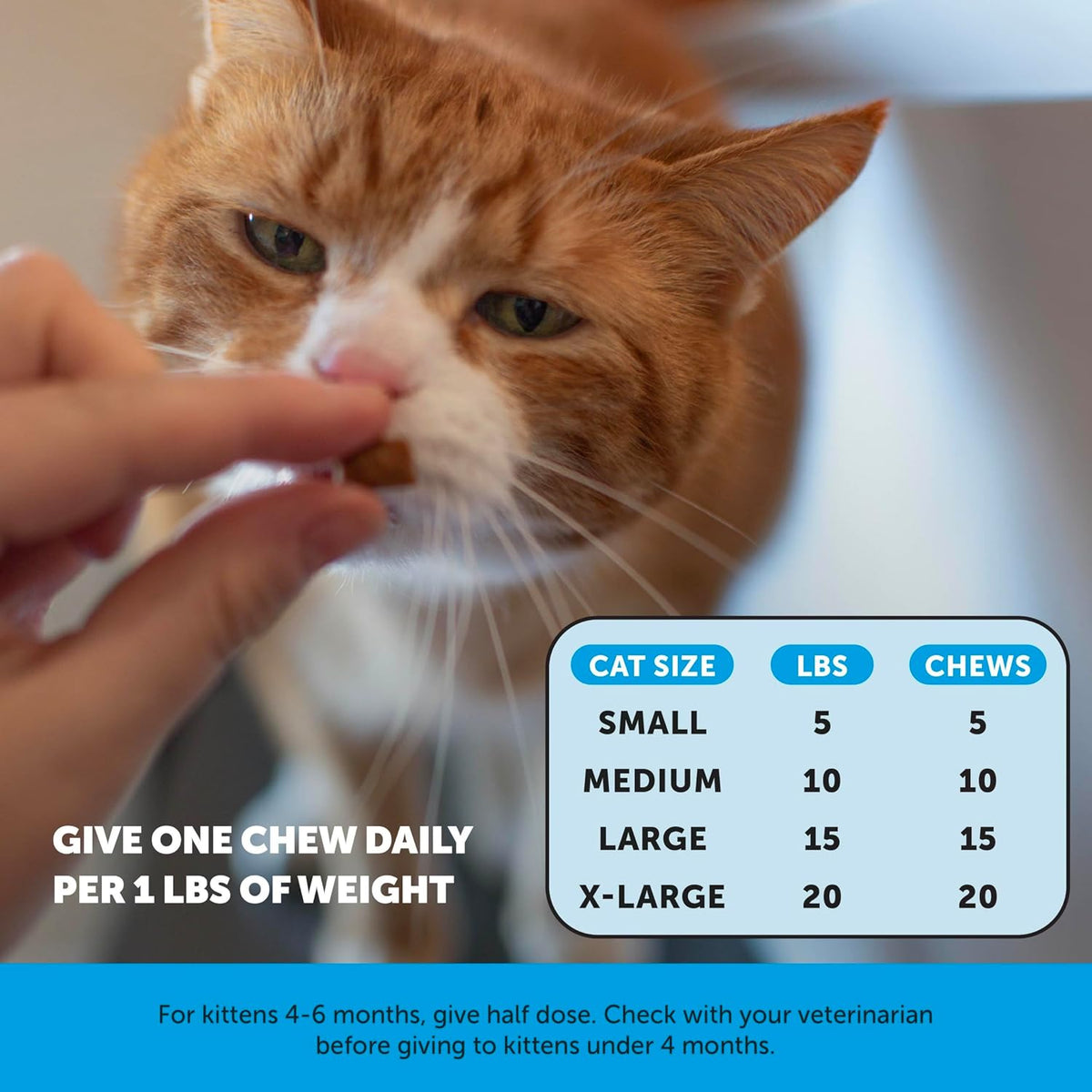 Pet Honesty Vet Backed Skin & Coat Cat Vitamins, Chicken, 90-Day Supply
