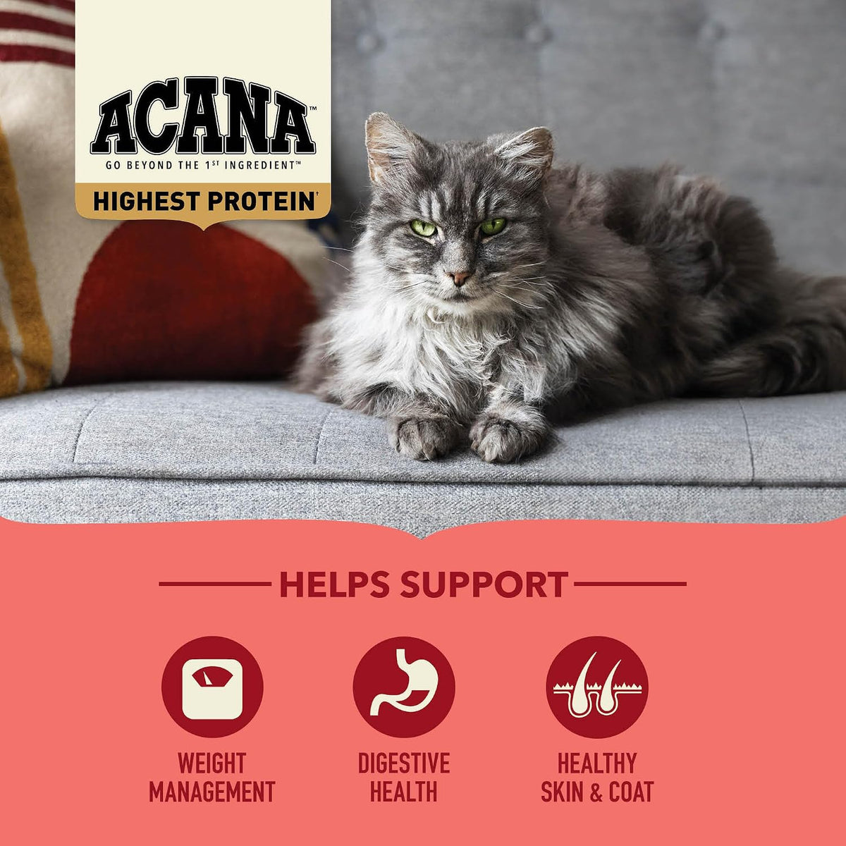 ACANA Highest Protein Dry Cat Food Indoor Cat Food Recipe 10lb Bag