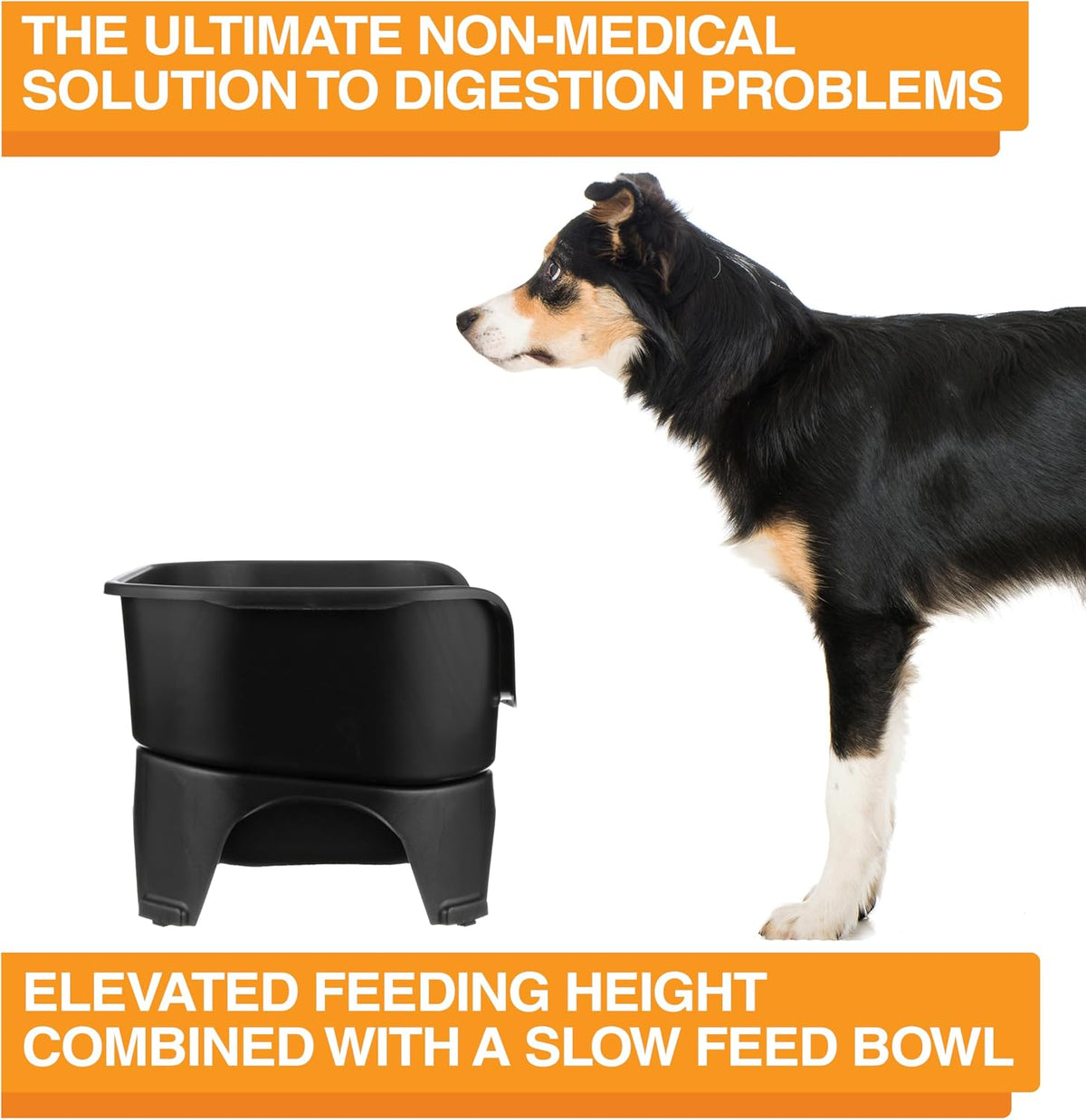 Neater Feeder - Express Model w/ Slow Feed Bowl - Mess-Proof Dog Bowls (M/L, Black) Made in USA – Elevated, No Spill, Non-Tip, Non-Slip, Raised Stainless Steel Food/Water Pet Bowls Aid Digestion 
