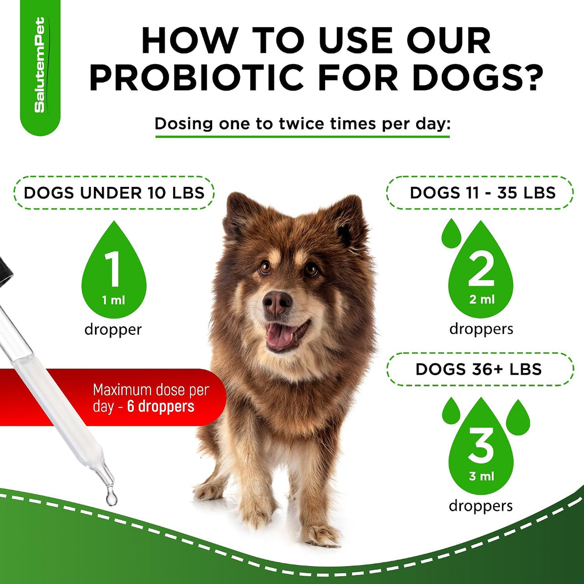 Probiotics for Dogs | Liquid Probiotics for Dogs and Puppies | Prebiotic & Digestive Enzymes | Gut Flora Support and Digestive Care | Bacon Taste | 2 Oz