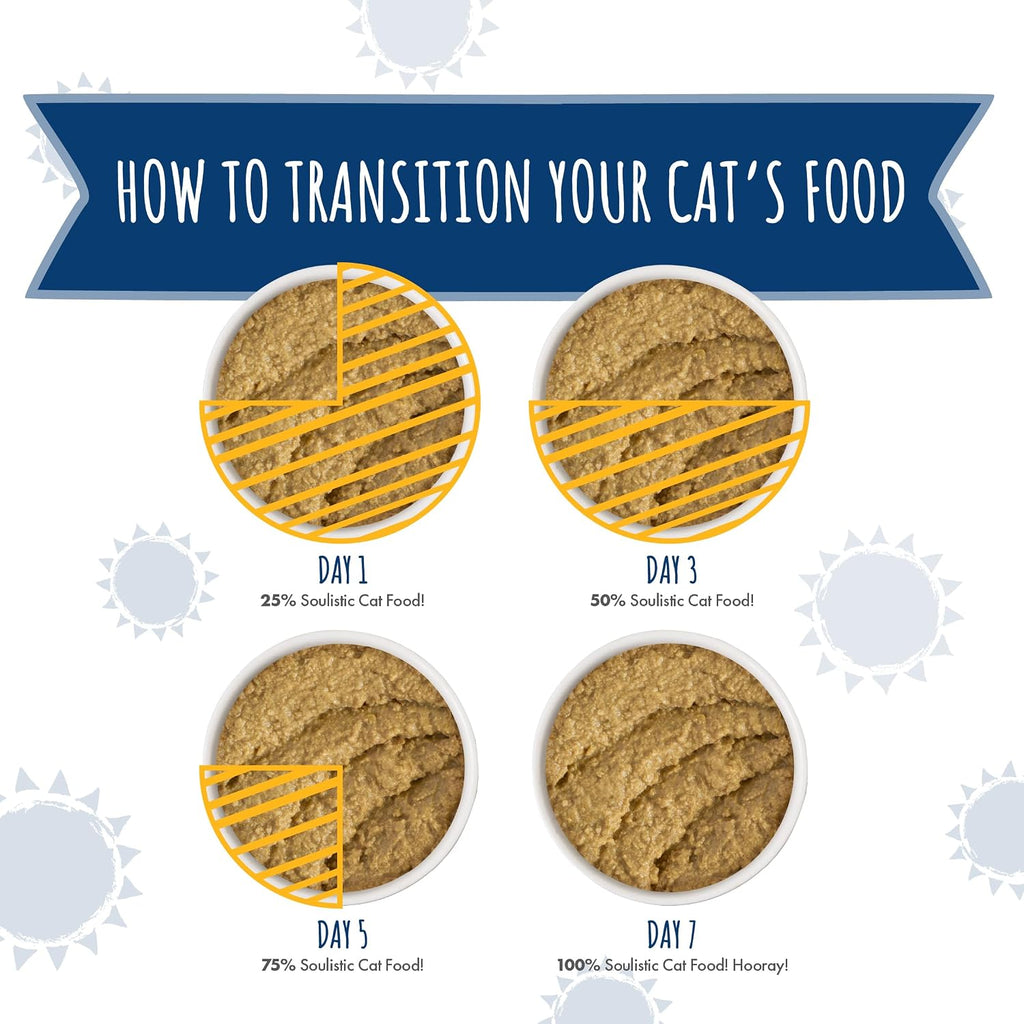 Soulistic Paté Wet Cat Food, Tuna and Salmon Dinner in a Hydrating Purée, 2.8oz Can, Pack of 12