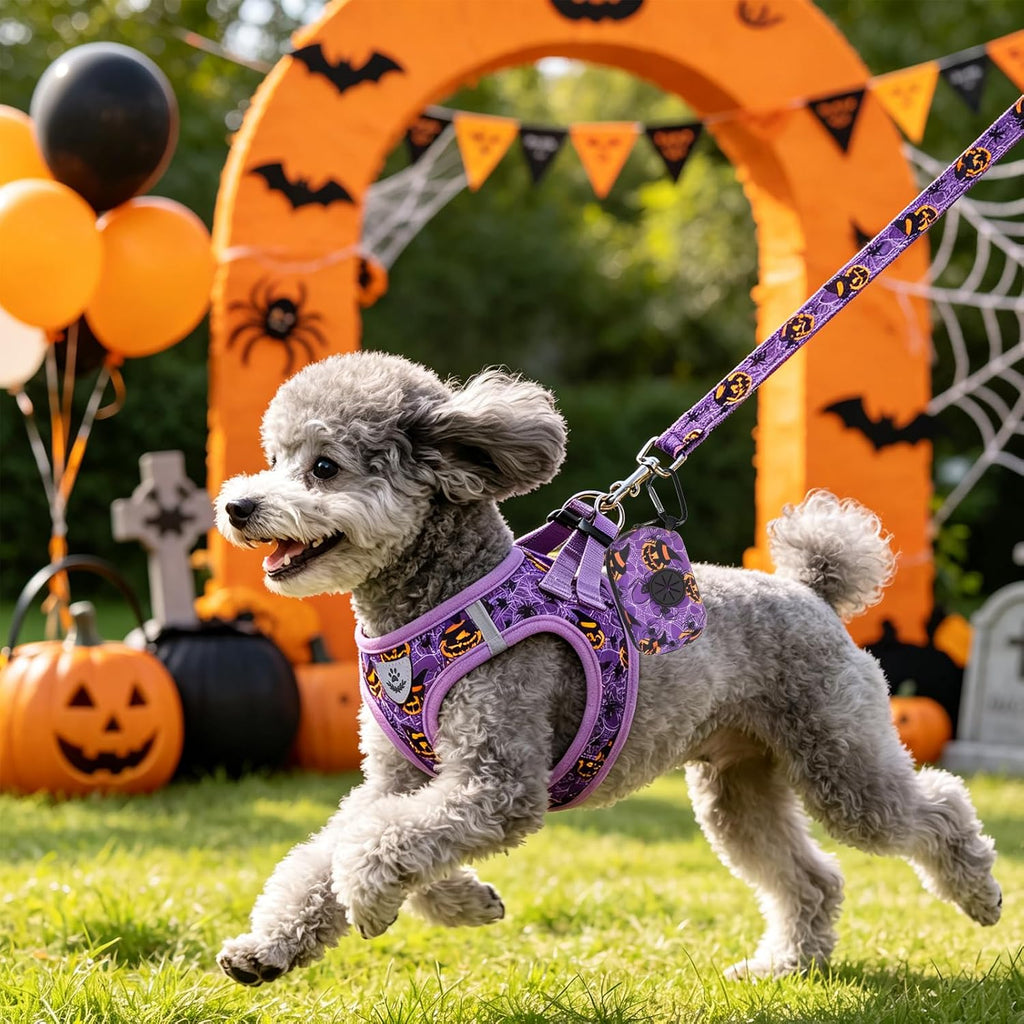 PAWCHIE Halloween Dog Harness and Leash Set,Step in No Pull Soft Pet Harness,Reflective Adjustable Puppy Vest for Small Dogs Cat,No Choke Harness Vest with Poop Bag Holder for Walking,Running,Purple S
