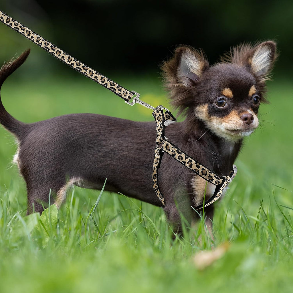 Mile High Life Leopard Dog Harness Collar Leash Set, Adjustable No Pull Dog Halter Harness for Small Breed Dogs, Easy Control for Training Walking (Black, M Chest 15"-21", Neck 13"-17")