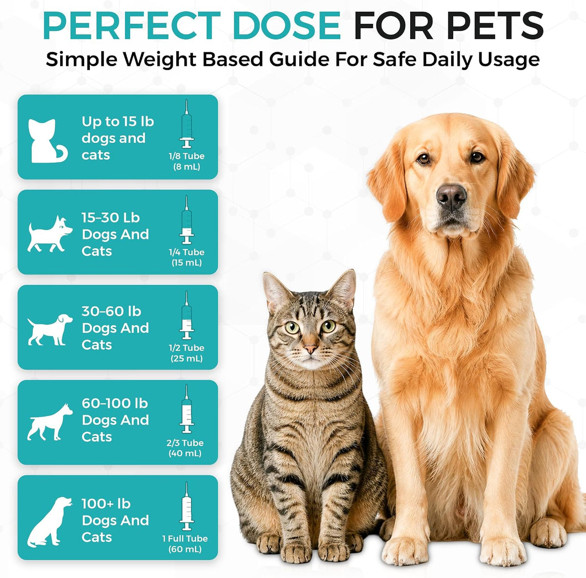 (60ml) Activated Charcoal for Dogs & Cats - Emergency Poisoning Aid Paste | Veterinary-Grade Digestive Aid for Toxin Binding, & Upset Stomach | Fast Acting Pet First Aid Kit