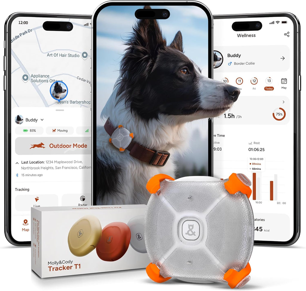 Molly&Cody Smart Dog & Cat GPS Tracker, 4 Smart Modes Real-Time Pet Tracker with Custom Virtual Fence IP67 Waterproof Location History & 365-Day Health Data Monitoring, Subscription Required