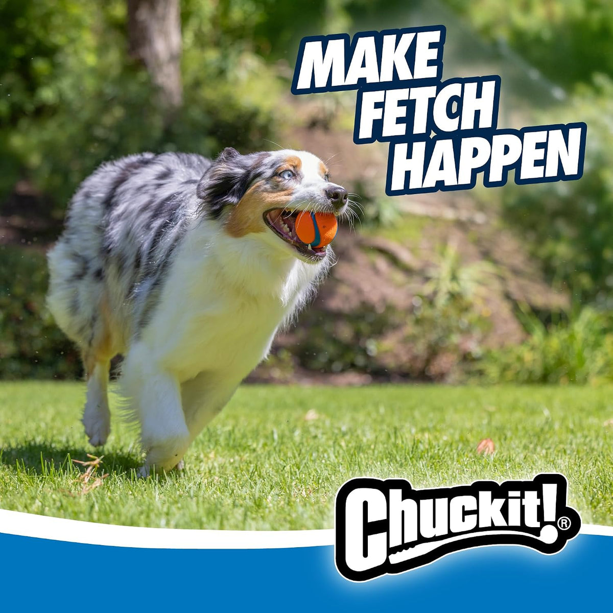 Chuckit! Ultra Rubber Dog Ball, Floating Fetch Toy, Medium 2.5-in, 4-Pack