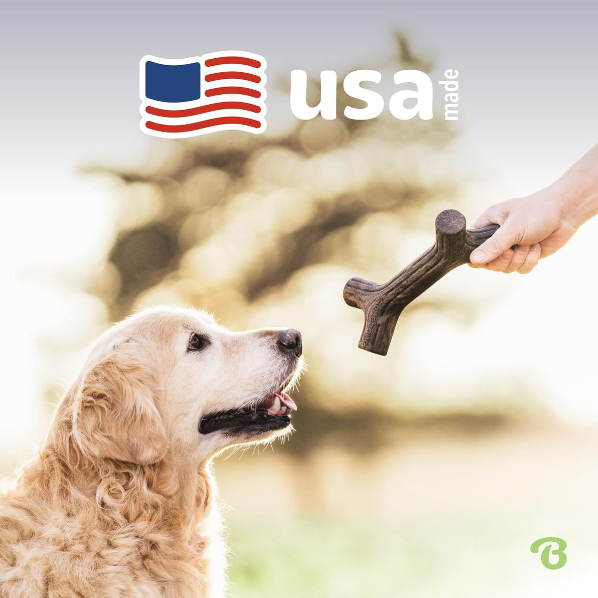 Benebone Maplestick Real Wood Durable Dog Chew Toy, Made in USA, Large (Pack of 2)