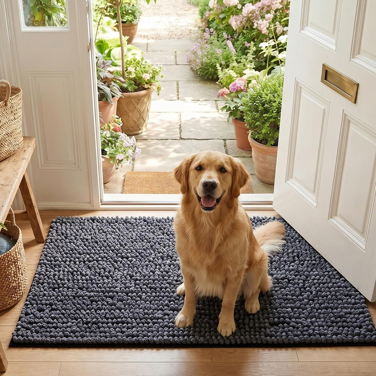EHEYCIGA Super Absorbent Dog Door Mat for Muddy Paws 24x16 in. Entryway Rug