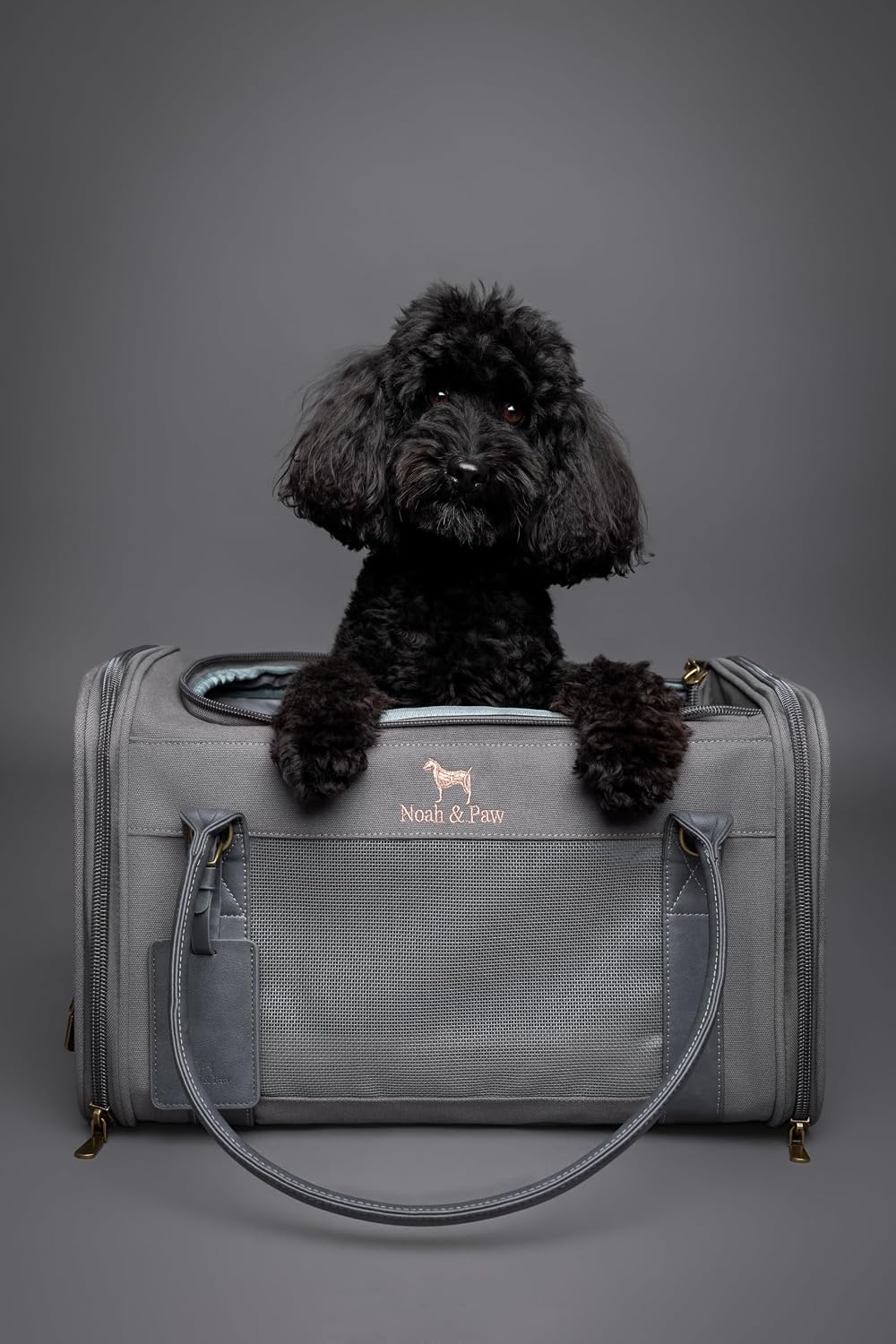 Noah & Paw Cat Carrier Soft Dog Carrier for Small Dogs TSA Airline Approved