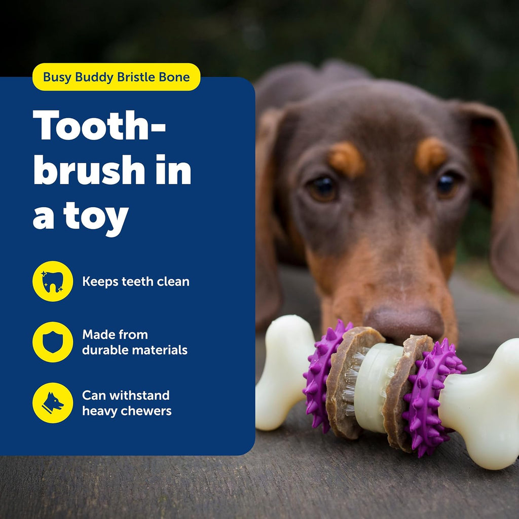 PetSafe Busy Buddy Bristle Bone, Large, Helps Keep Your Dog's Teeth Clean, Long-Lasting Playtime