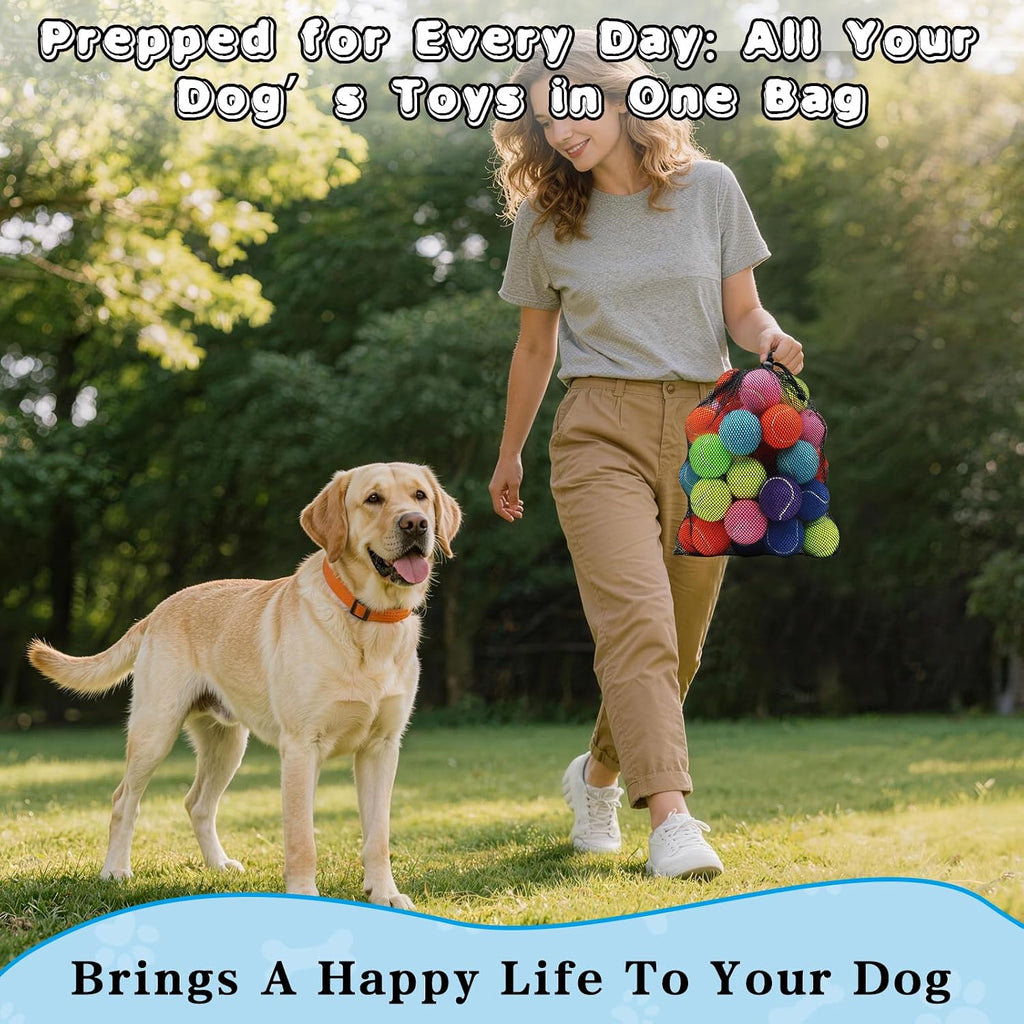 Magicorange Tennis Balls for Dogs,Colorful Easy Catching Dog Balls,16 Pack | Bright Yellow/Pink/Orange/Blue Dog Playing Balls, Easy to Spot And Fetch, with Mesh Bag for Training and Outdoor Fun