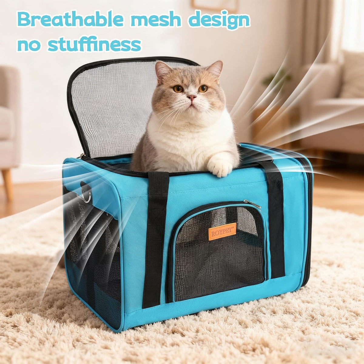 ROYPET Cat Carrier, Portable Pet Carrier Bag, Blue