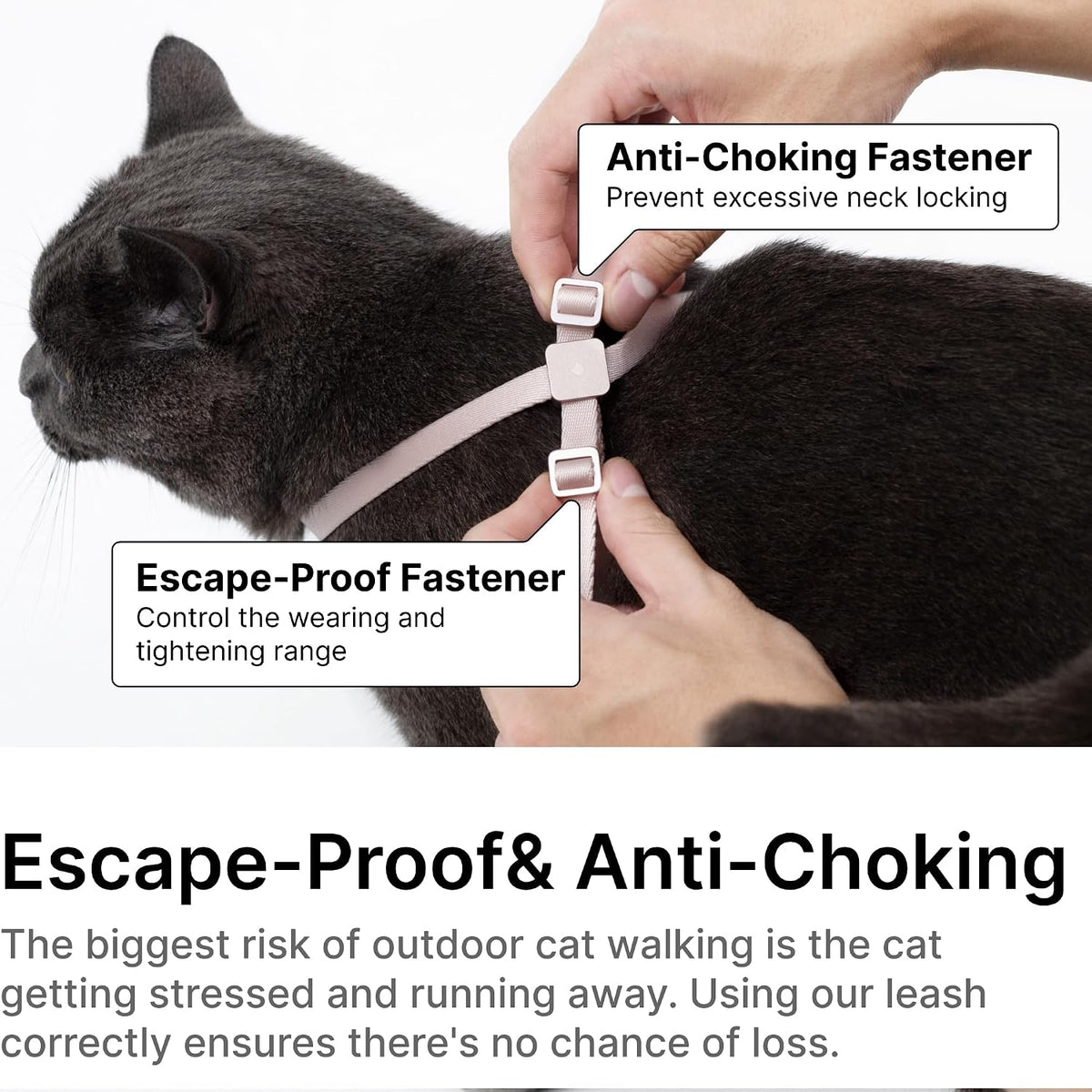 Cat Harness and Leash 2-in-1, Escape Proof Anti-Choking Harness Adjustable Lightweight Leash One-Piece Non-Detachable for Kitten Cats Outoor Walking Training, US IDA Bronze Award (Sky Blue)