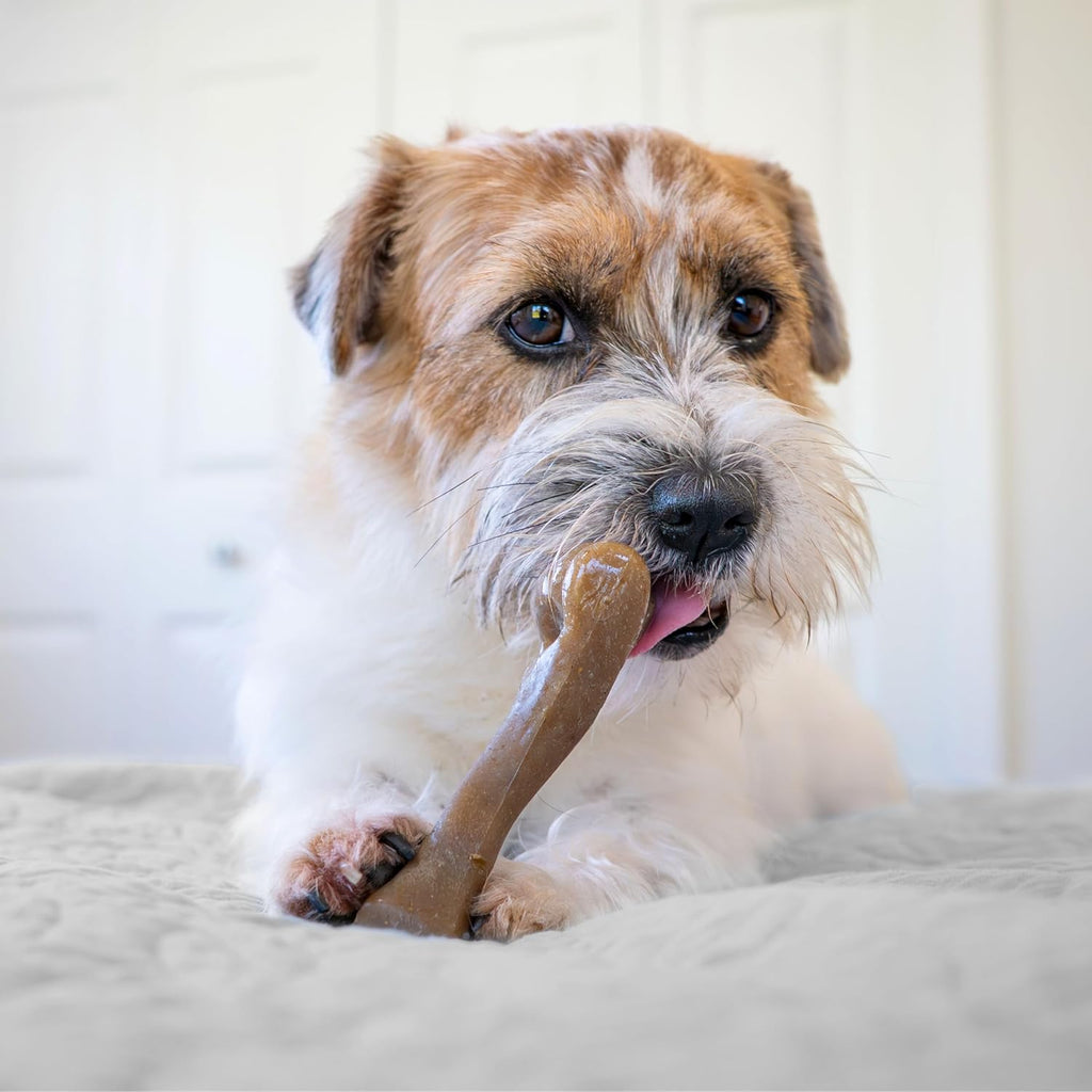 Nylabone Strong Chew Femur Bone Dog Toy Made with Real Bison & Venison