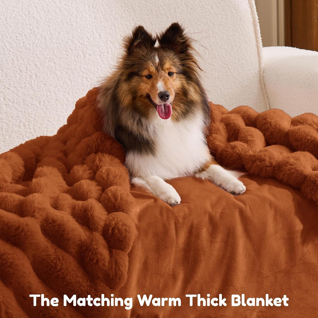 ChiXnuggle Orthopedic Human Dog Bed,Striped Faux Fur Washable Cover,Blanket