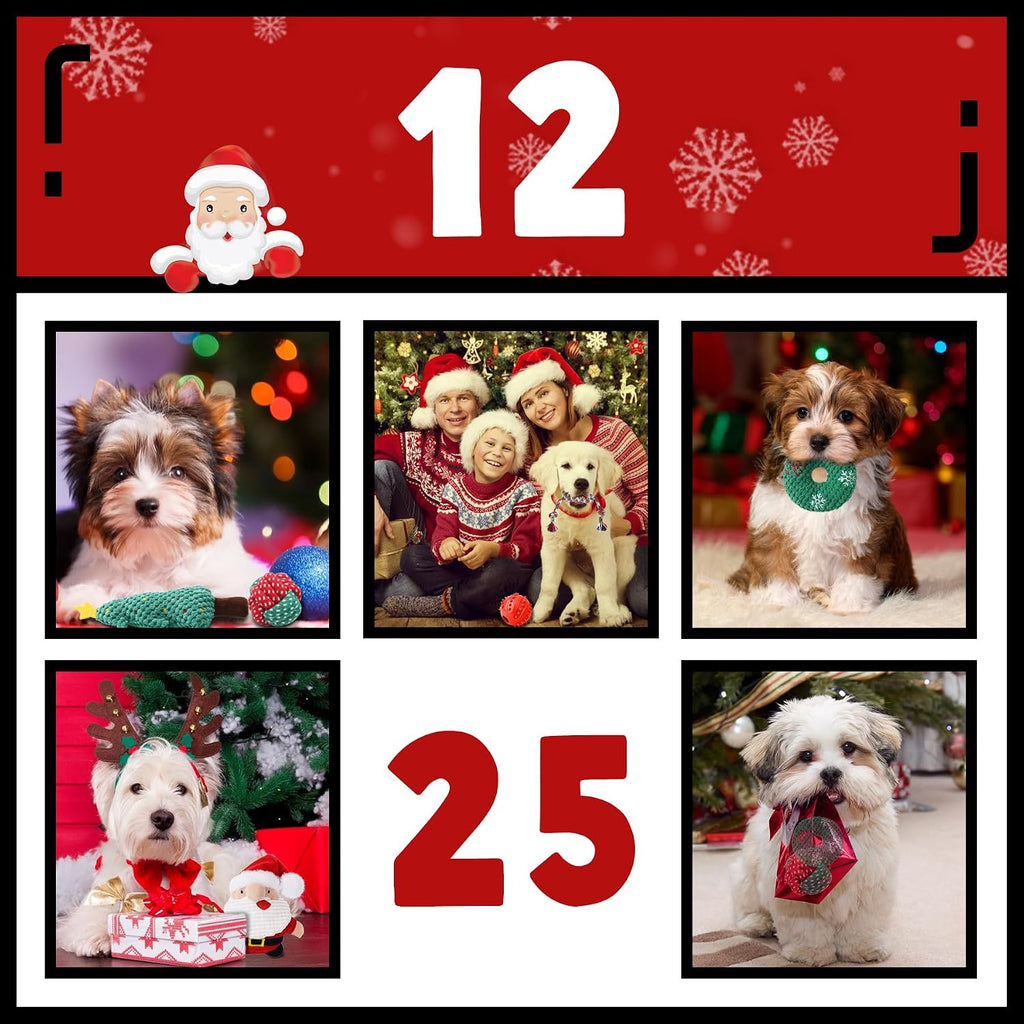 Zeaxuie Dog Chew Toys for Xmas - 9 Pack Santa Puppy Toys for Teething Small Dogs with Rope Toys, Treat Ball and Squeaky Dog Toys