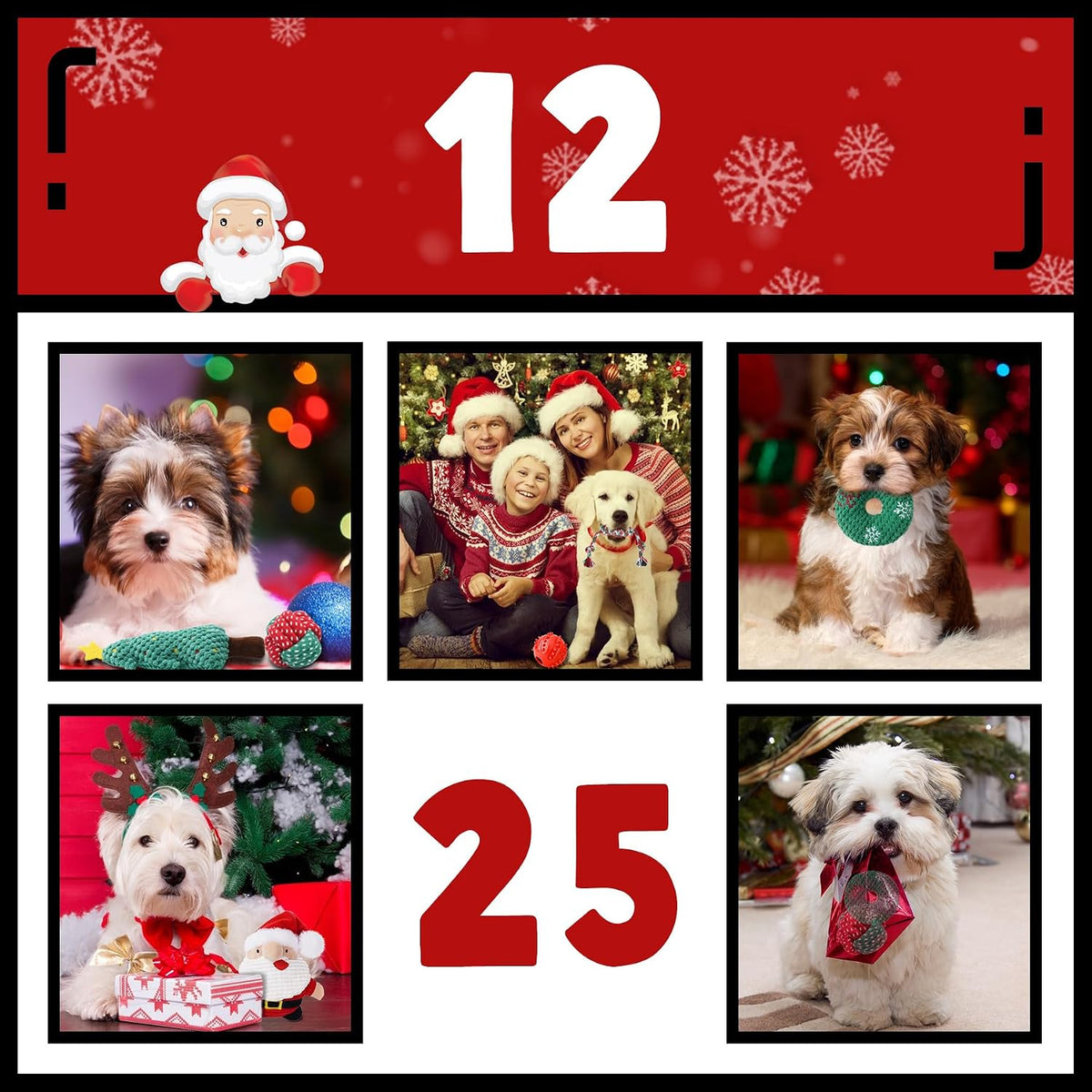 Zeaxuie Dog Chew Toys for Xmas - 9 Pack Santa Puppy Toys for Teething Small Dogs with Rope Toys, Treat Ball and Squeaky Dog Toys