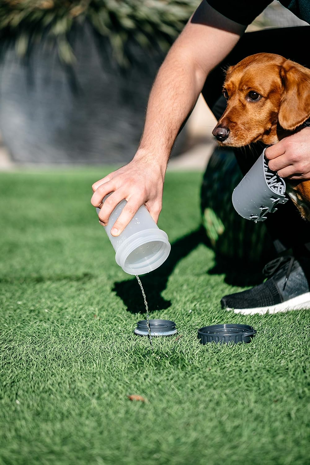 Dexas Lidded MudBuster Medium Dog Paw Cleaner, Light Gray, Fits 1.5"-2.5" Wide Paws, Gentle Silicone Bristles for Quick, Easy Cleaning 