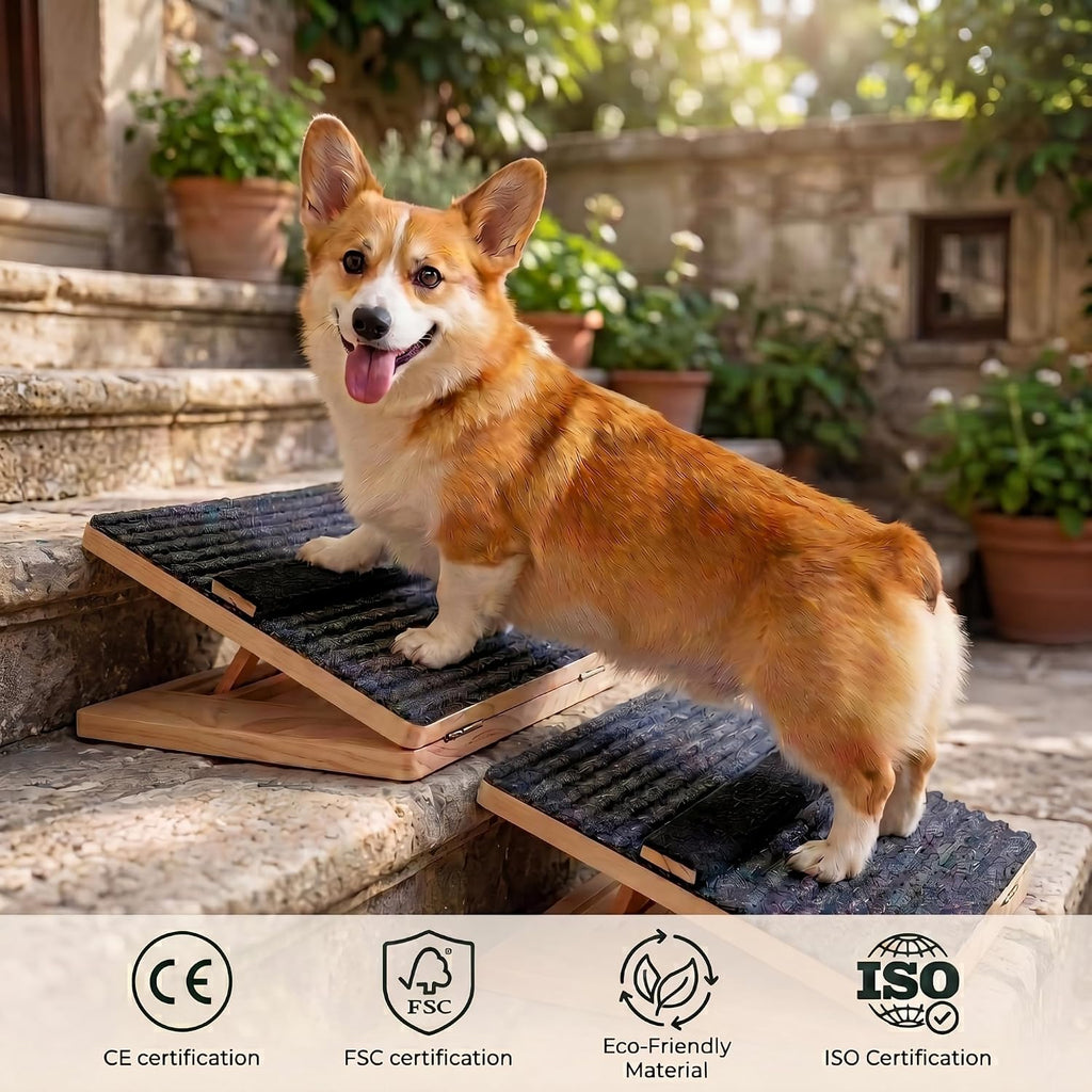 2 Pack Wooden Adjustable Dog Stairs Ramps, 3-Level Adjustable Triangular Pet Ramp, Indoor & Outdoor Portable Dog Steps with Anti-Slip Mat, Suitable for Dogs, Cats, Elderly and Injured Pets (2)