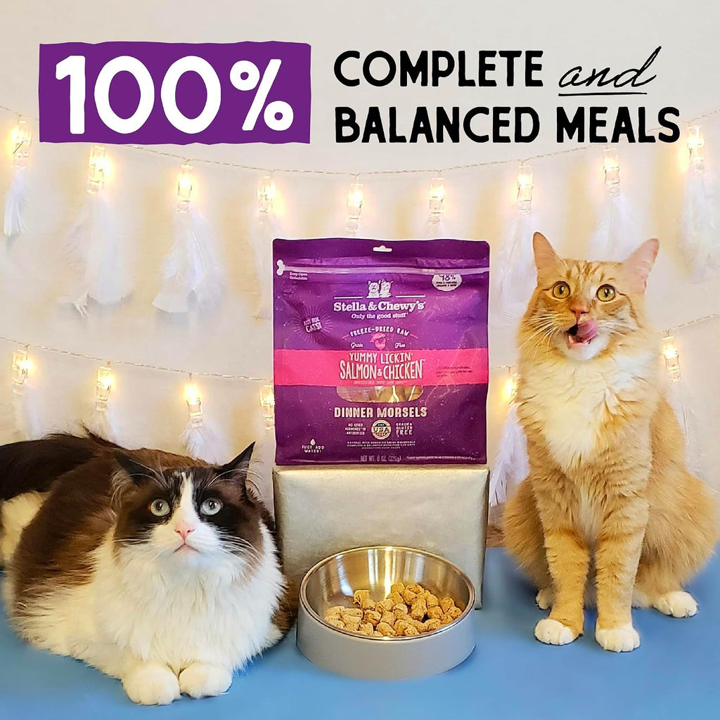 Stella & Chewy's Freeze-Dried Raw Cat Dinner Morsels - Premium Salmon & Chicken Recipe with 98% Wild-Caught & Cage-Free Protein - Natural Grain-Free Cat & Kitten Food - Made in USA - 1 oz (Pack of 2)