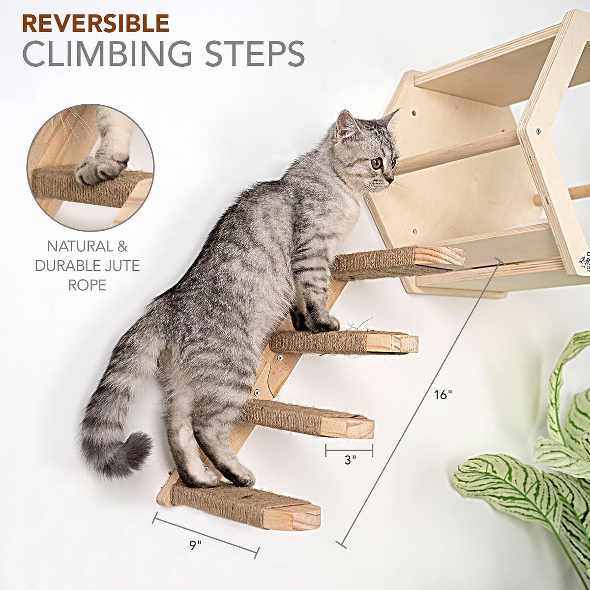 3-Pack Cat Wall Set – Hexagon House, Hammock & Steps + Spare Hammock Fabric