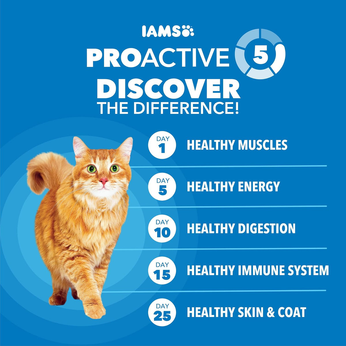IAMS Proactive Health Healthy Weight Dry Cat Food, Chicken, 16 lb