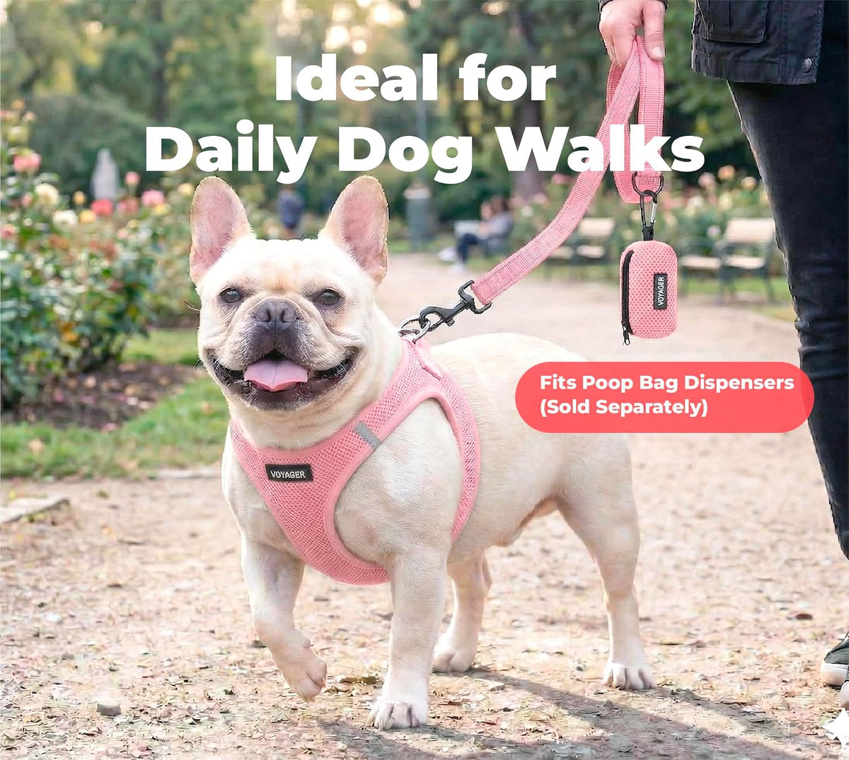 Best Pet Supplies Voyager Nylon Dog Leash - 6ft Pink, Large