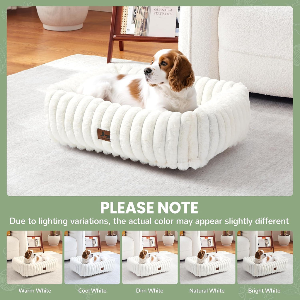 Washable Dog Bed for Small Medium Dogs, Rectangle Orthopedic Pet Bed with Removable Cover, Fluffy Memory Foam Dog Beds with Anti-Slip Bottom, Cream (25x21x7 inches)